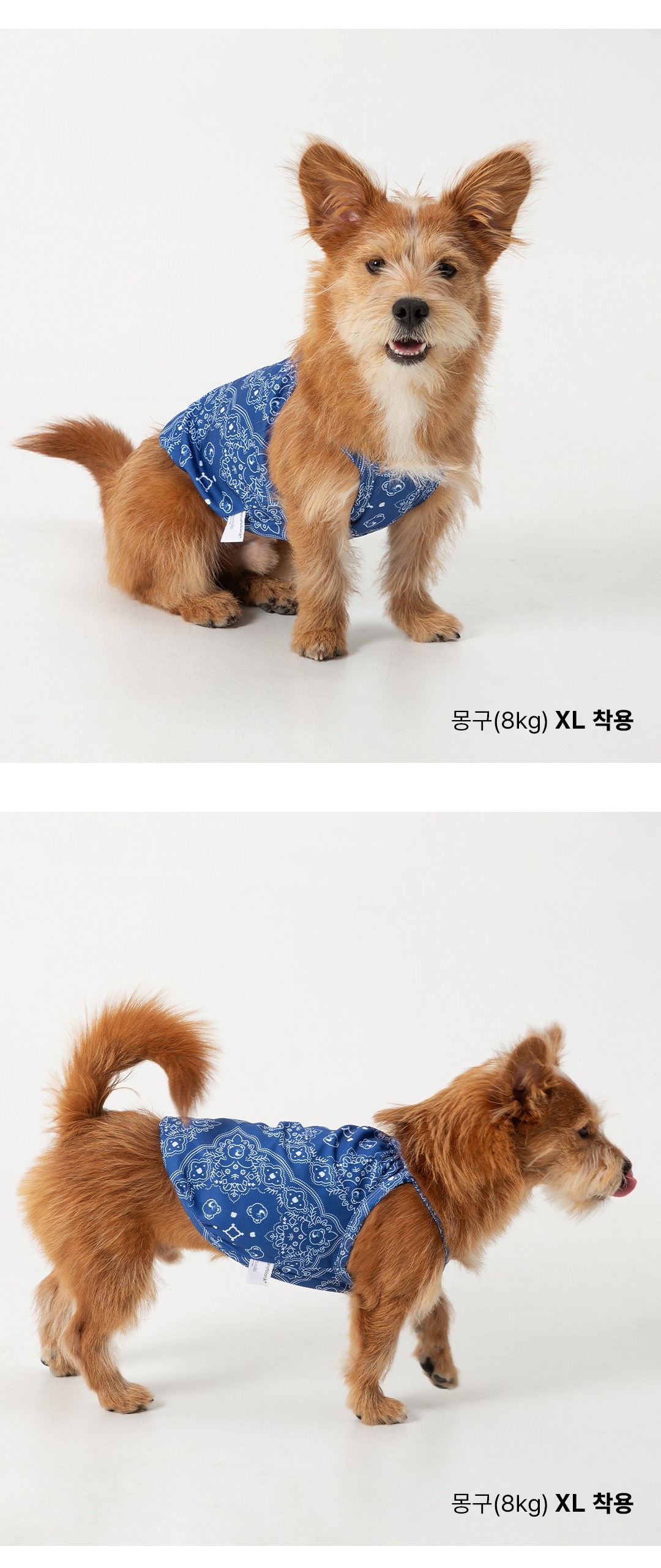 imgi_128_f127eac5cef49521