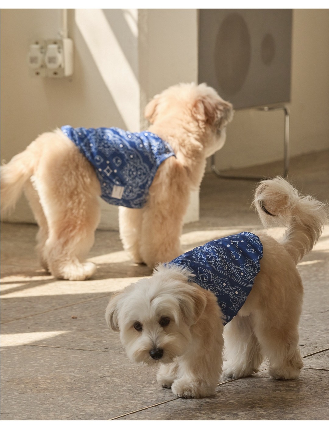 imgi_128_f127eac5cef491020