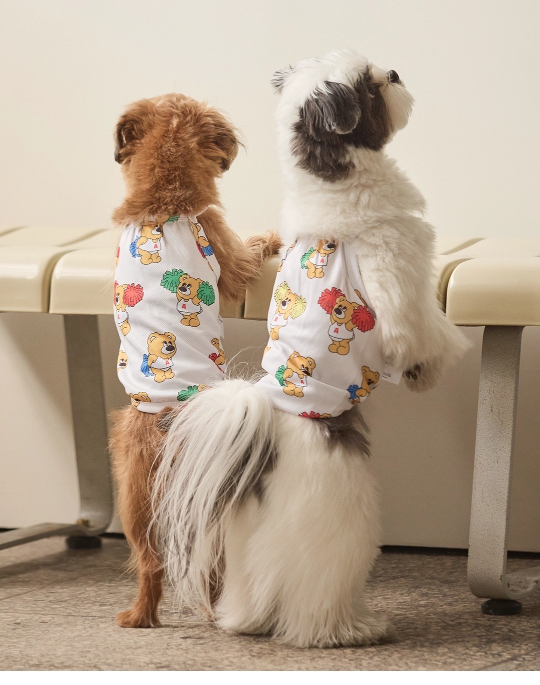 imgi_44_9f6630c10ca881411