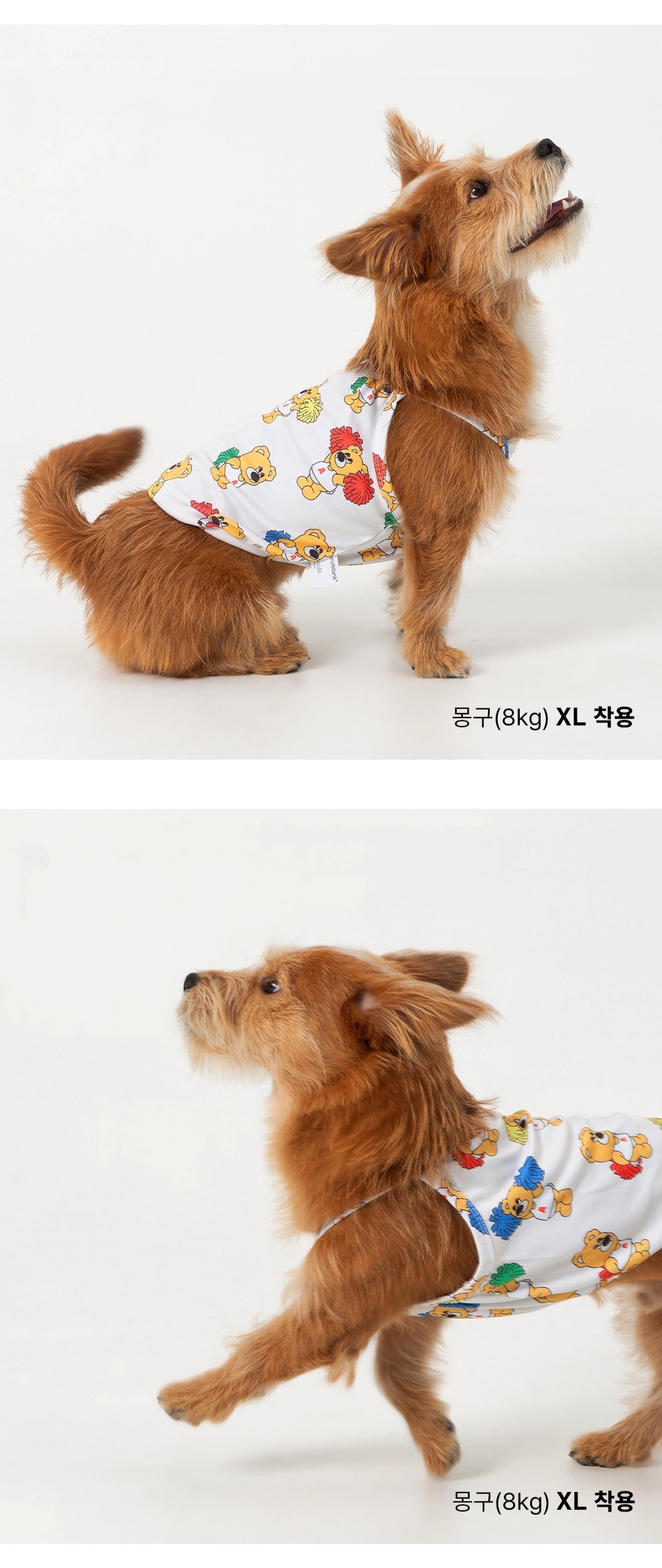 imgi_44_9f6630c10ca881413