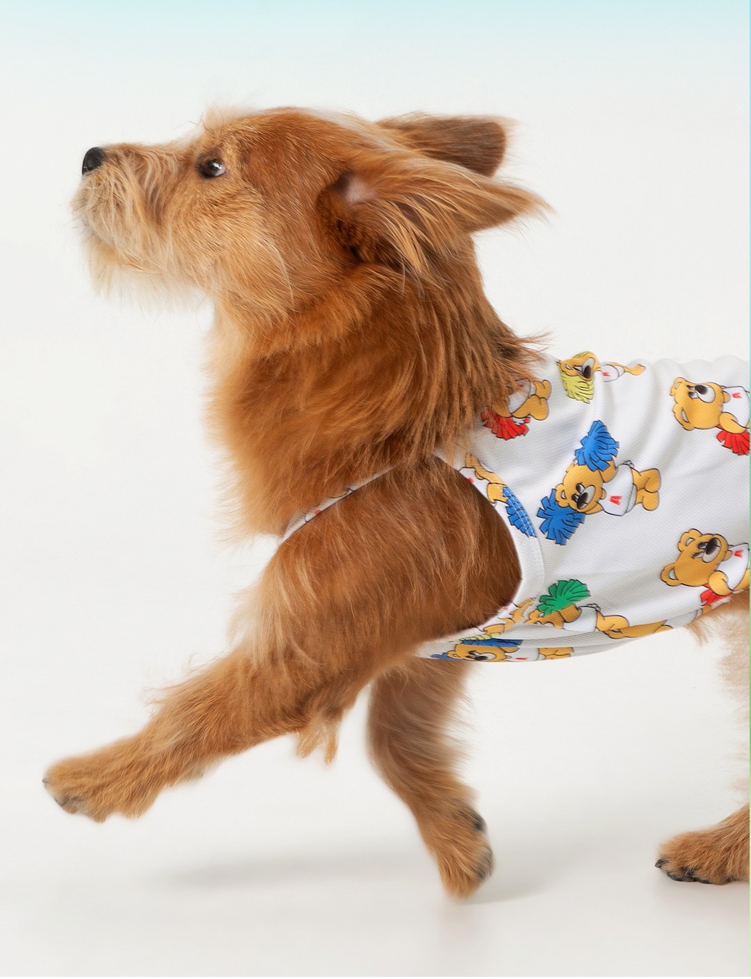 imgi_125_462b00d234c447777