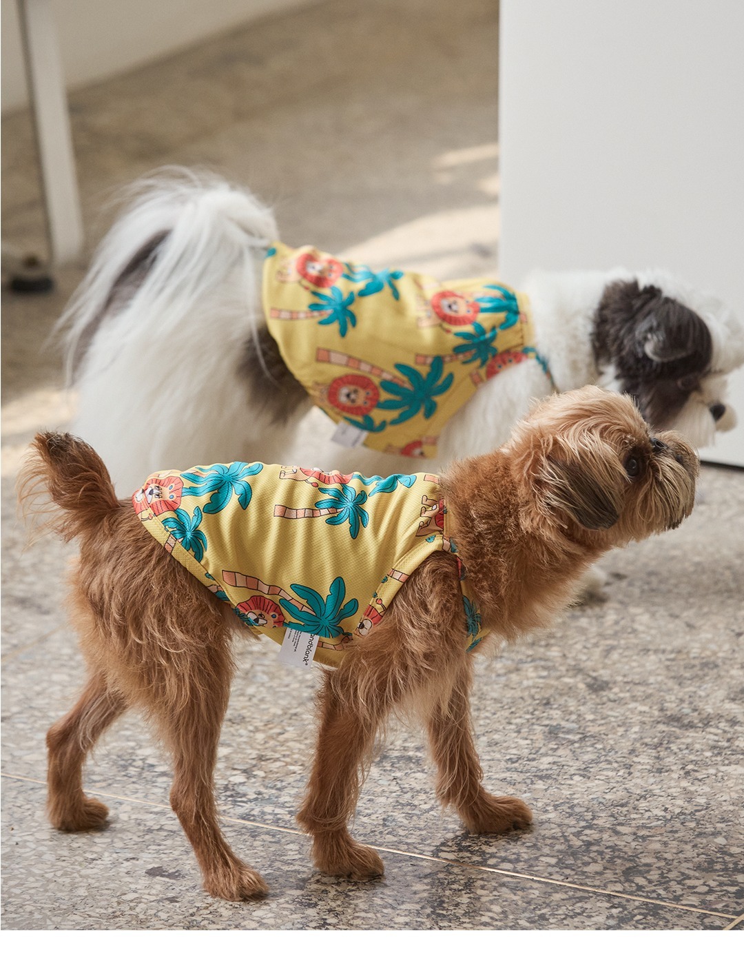 imgi_127_c0d64e0ca78ff4141