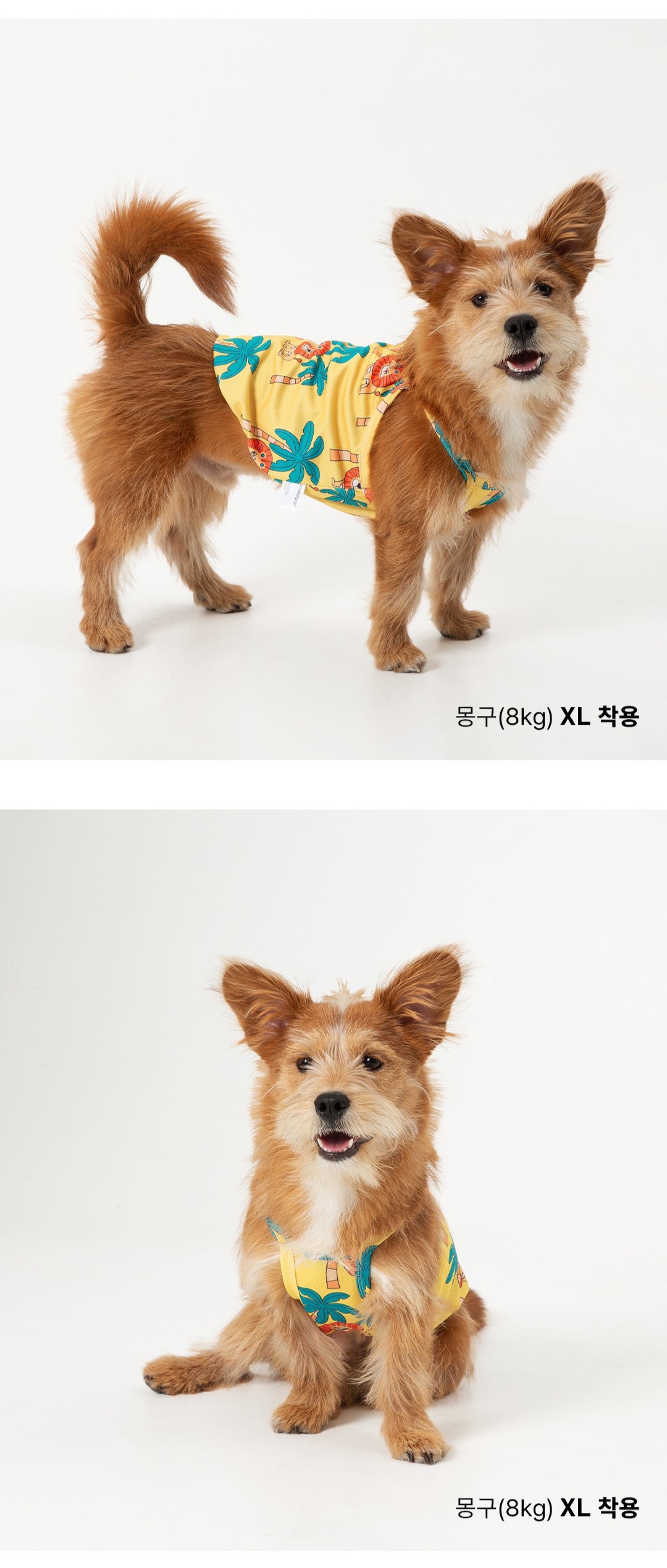 imgi_127_c0d64e0ca78ff4512