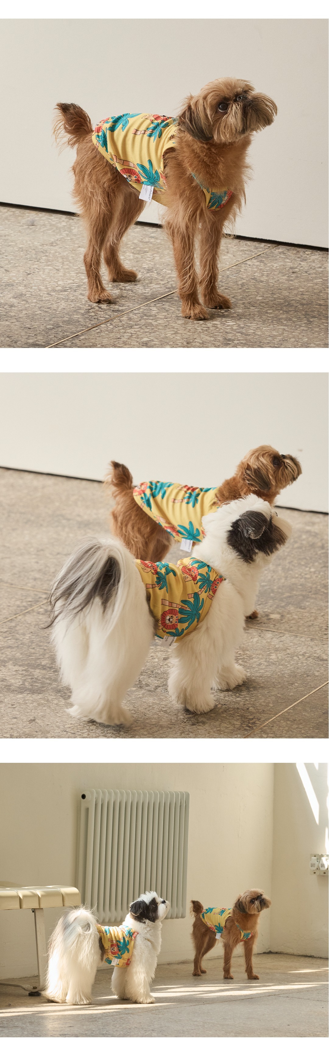 imgi_128_2f9449ef2bf5c52