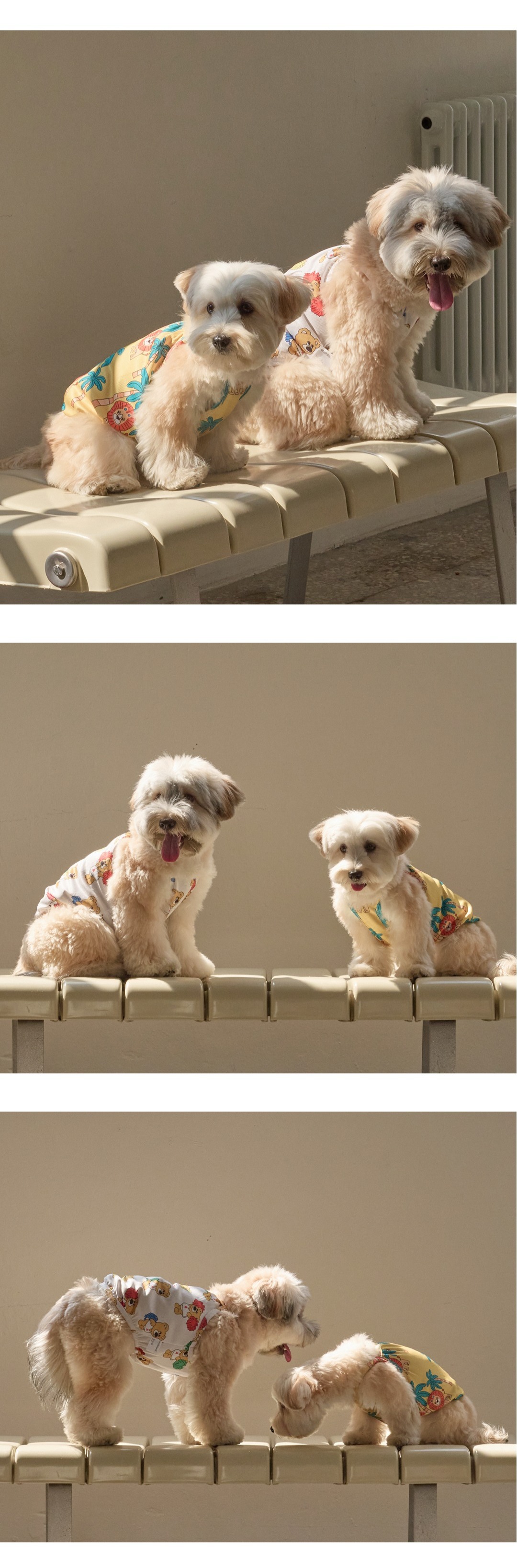 imgi_128_2f9449ef2bf5c53