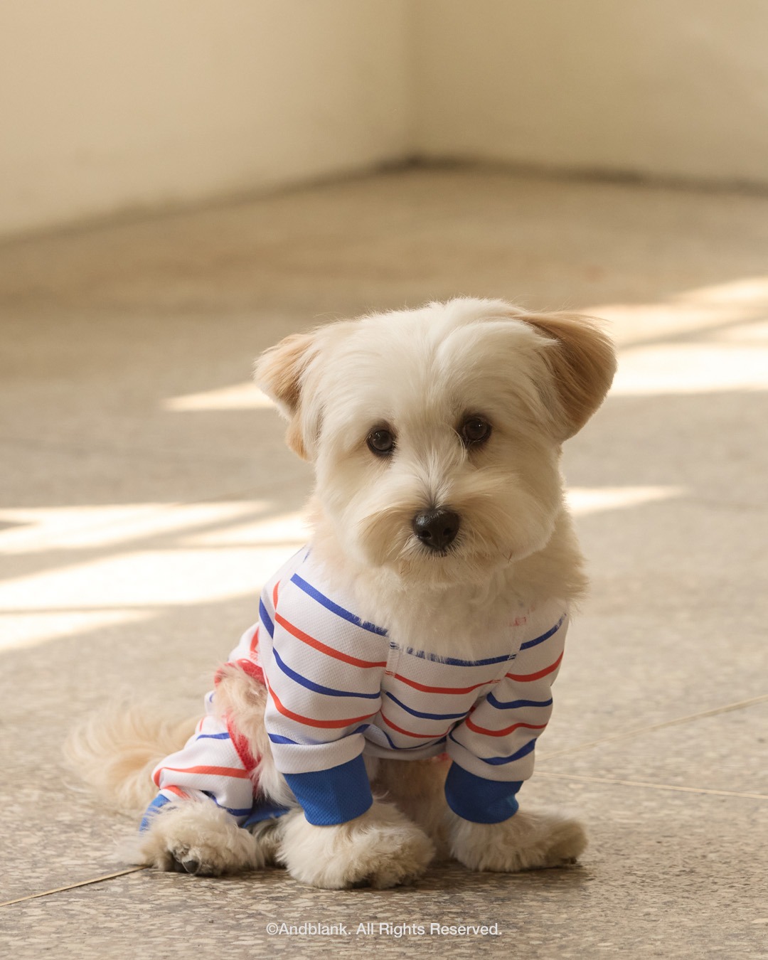 imgi_124_b4e3e0dd24802