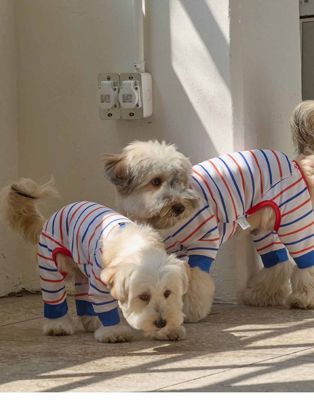 imgi_127_447d14b236c5655555