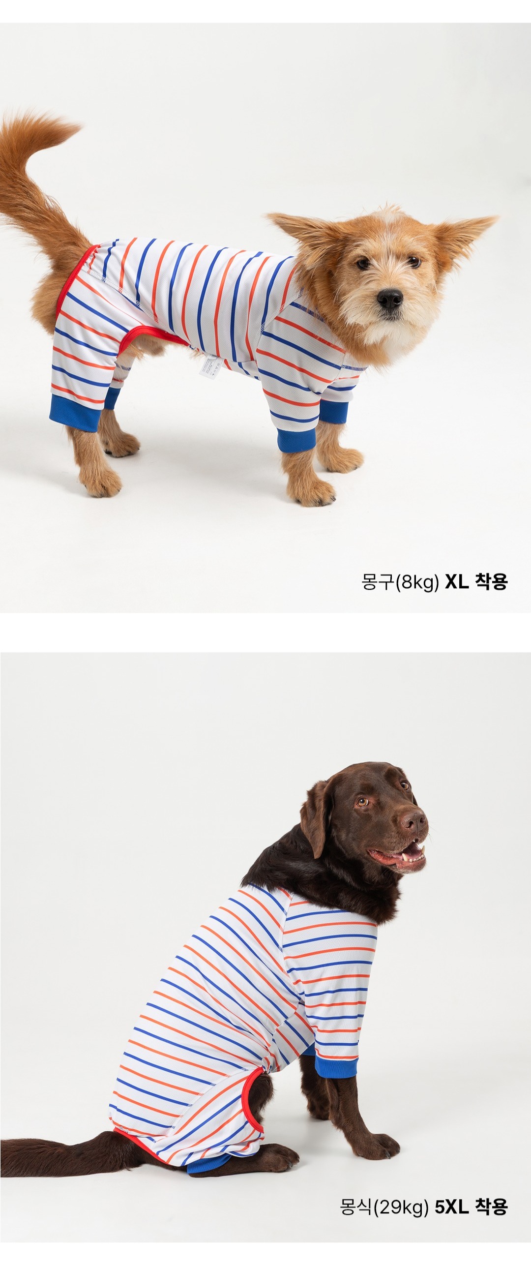 imgi_127_447d14b236c564545