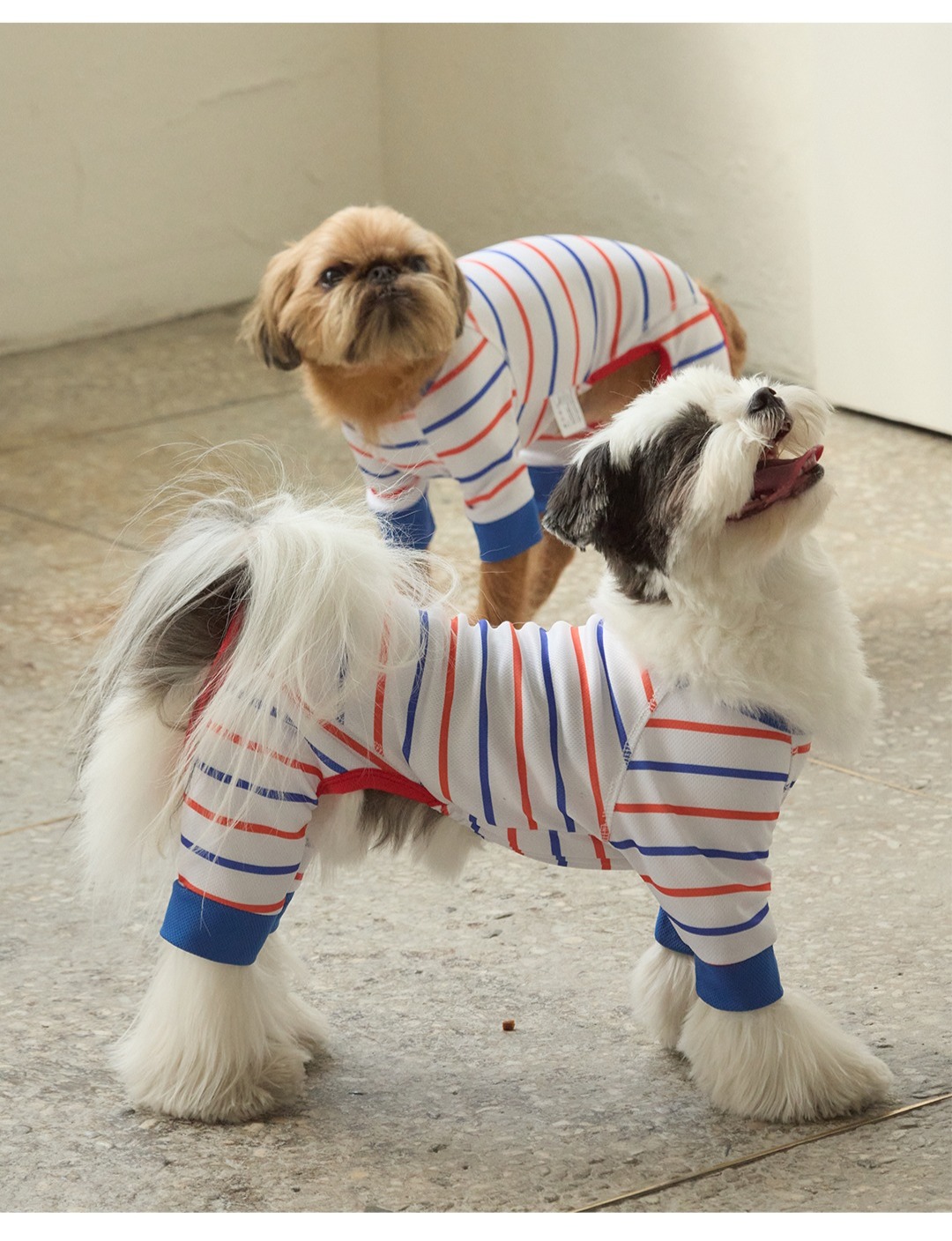 imgi_127_447d14b236c56632