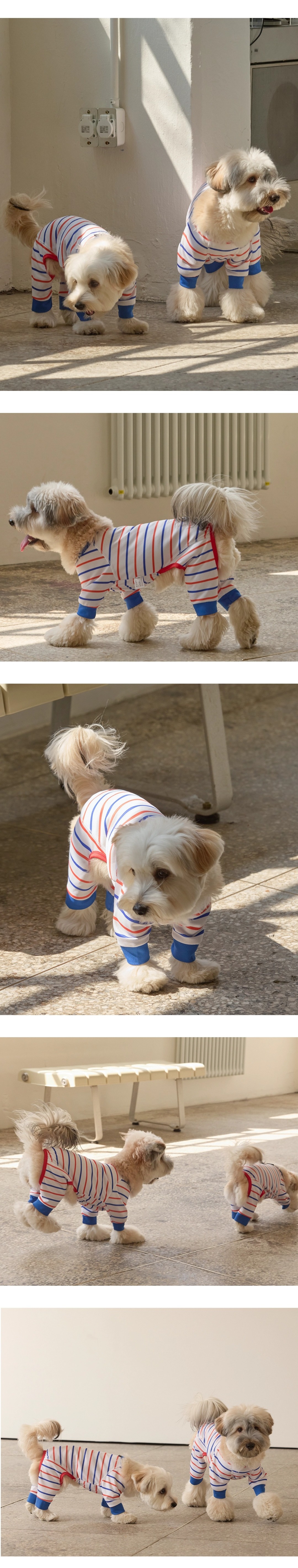 imgi_91_ec7a605302d861414