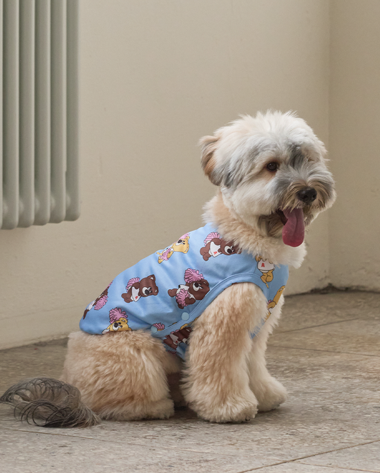  | 貝狗商行｜韓國寵物選品