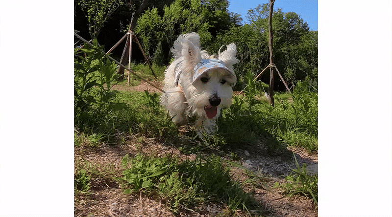 imgi_5_copy-1748940382-ezgif.com-optimize