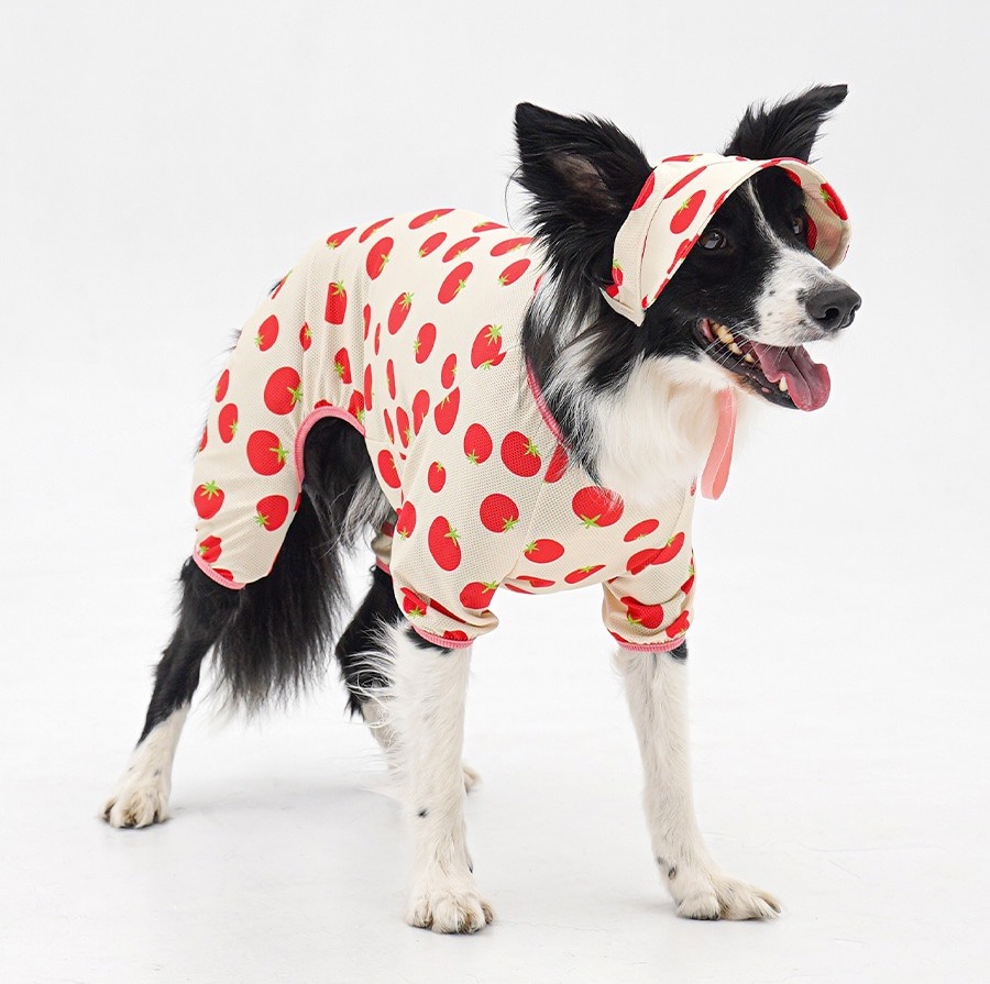 imgi_17_copy-1775088672-1-EC98ACEC9DB8EC9B90EC8381EC84B81_2_03