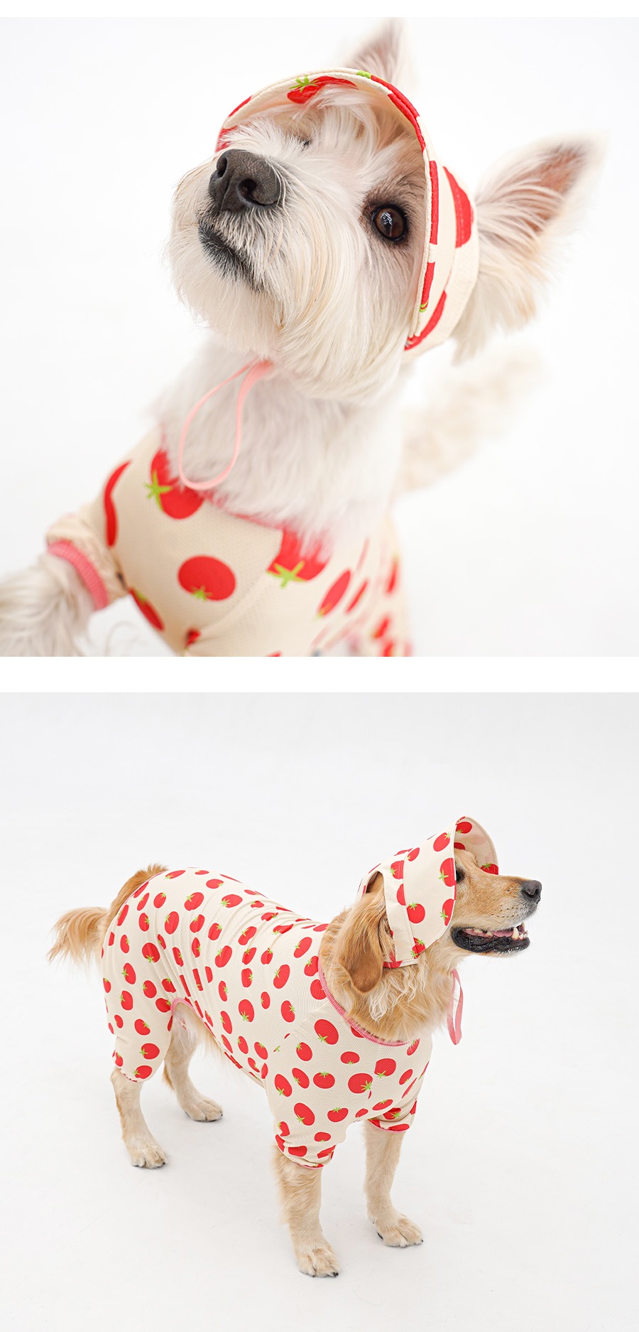 imgi_20_copy-1775088673-1-EC98ACEC9DB8EC9B90EC8381EC84B81_3_03