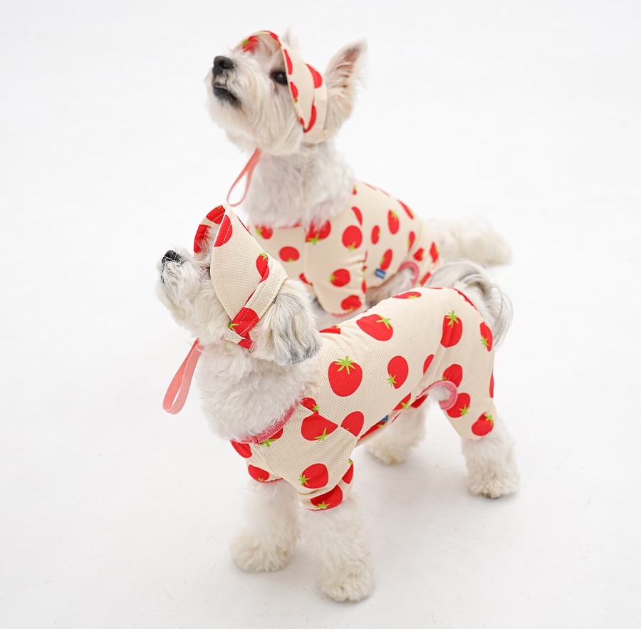 imgi_23_copy-1775088673-2-EC98ACEC9DB8EC9B90EC8381EC84B82_1_03 (1)