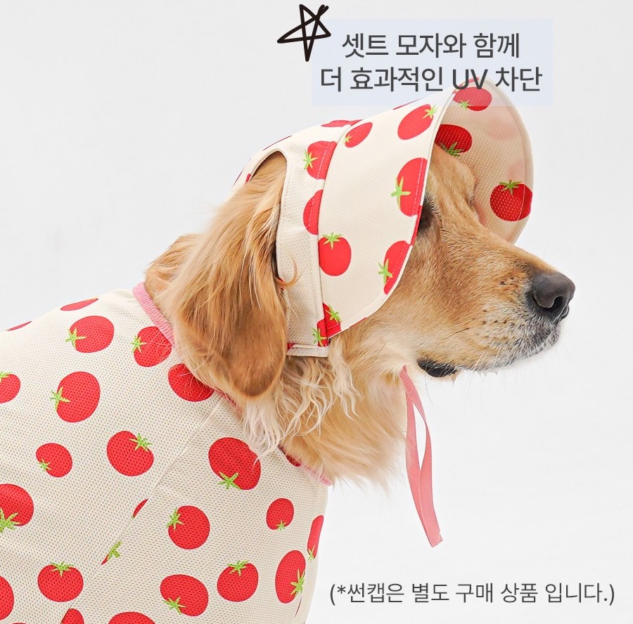 imgi_24_copy-1775088673-2-EC98ACEC9DB8EC9B90EC8381EC84B82_1_04 (1)