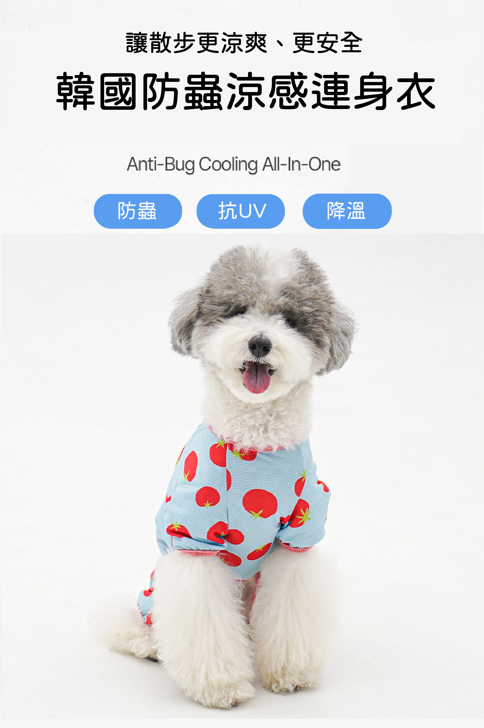 1-EC98ACEC9DB8EC9B90EC8381EC84B81_1_01-01