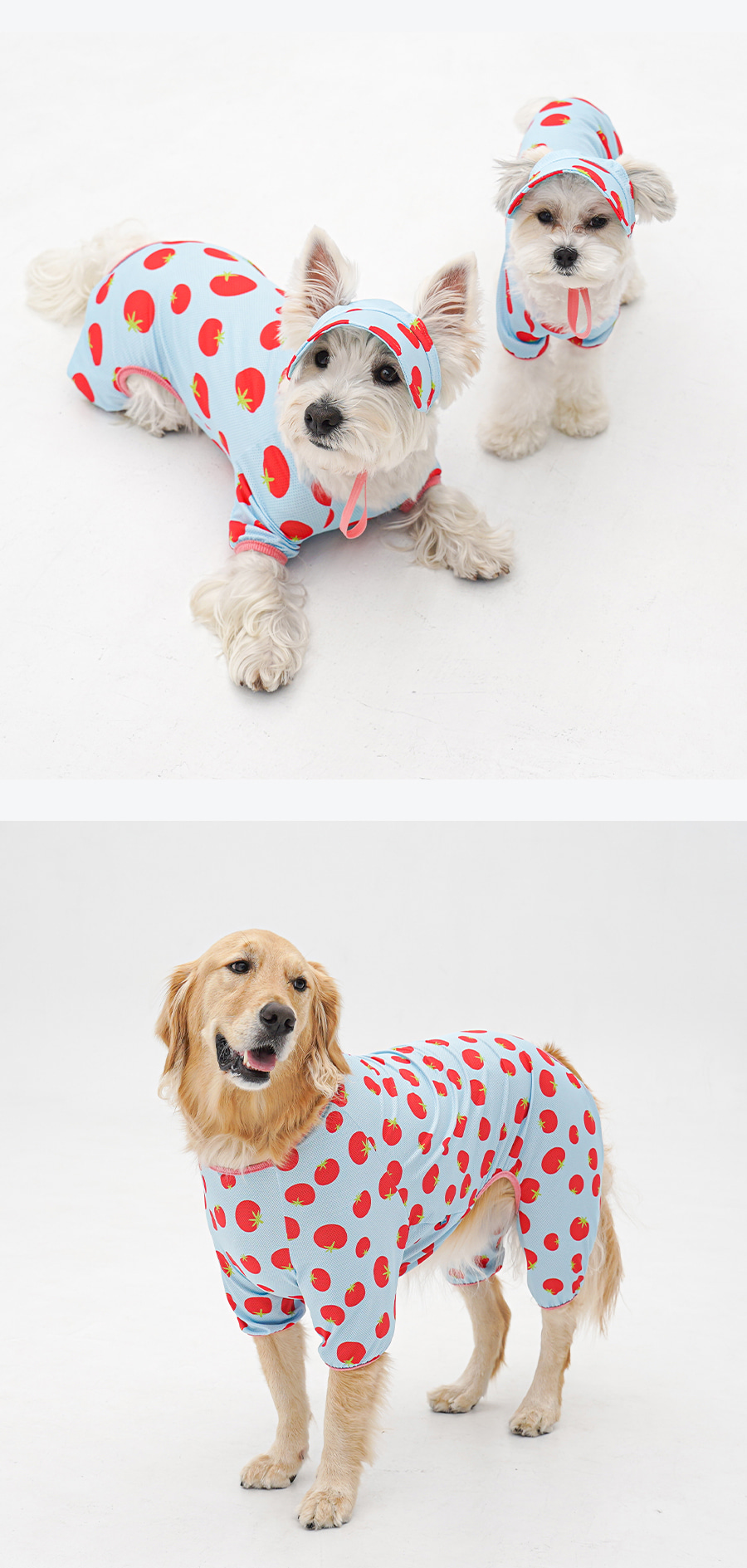 1-EC98ACEC9DB8EC9B90EC8381EC84B81_1_02