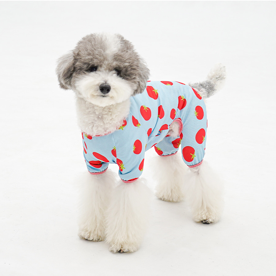 2-EC98ACEC9DB8EC9B90EC8381EC84B82_2_02