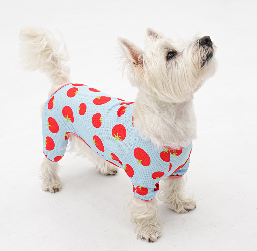 2-EC98ACEC9DB8EC9B90EC8381EC84B82_3_01