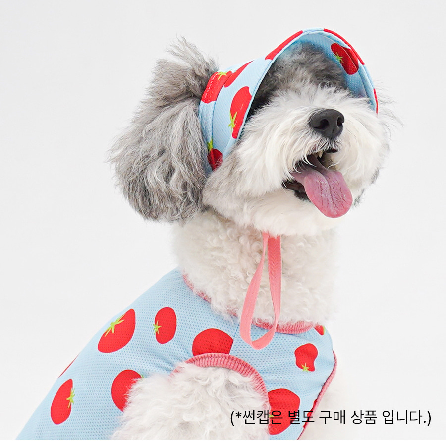 1-EC98ACEC9DB8EC9B90EC8381EC84B81_2_02