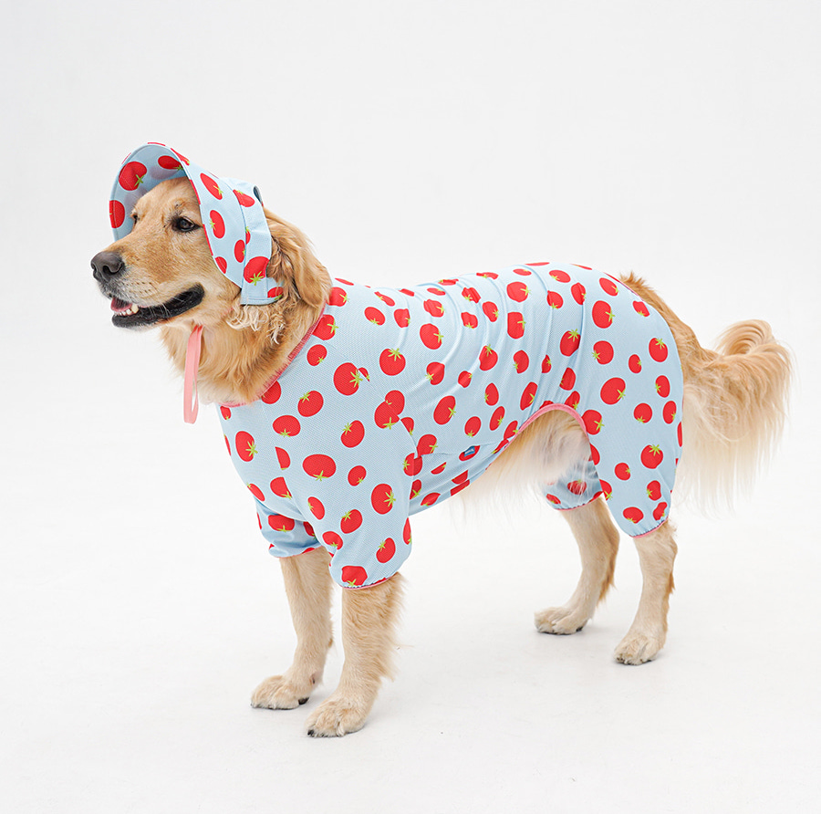 2-EC98ACEC9DB8EC9B90EC8381EC84B82_2_02 (1)