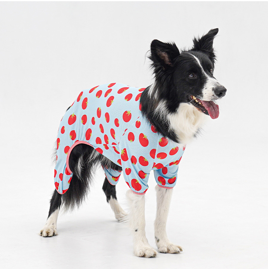 2-EC98ACEC9DB8EC9B90EC8381EC84B82_1_06