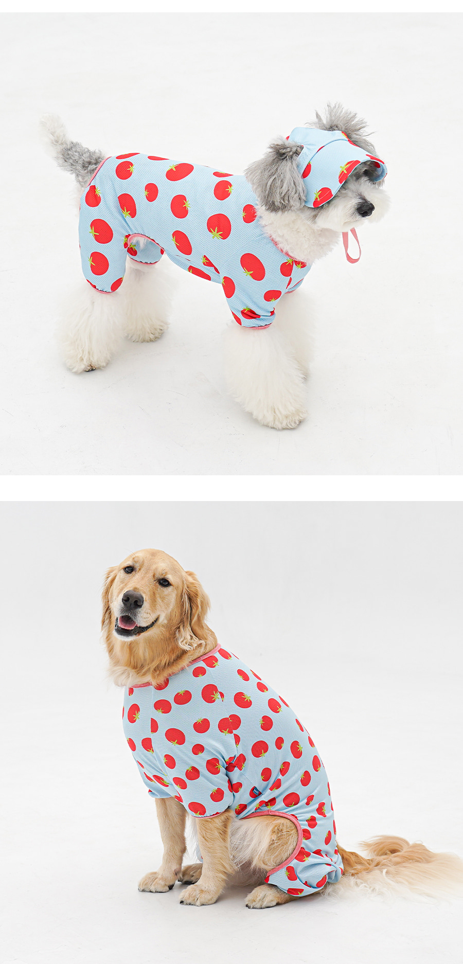 1-EC98ACEC9DB8EC9B90EC8381EC84B81_3_03