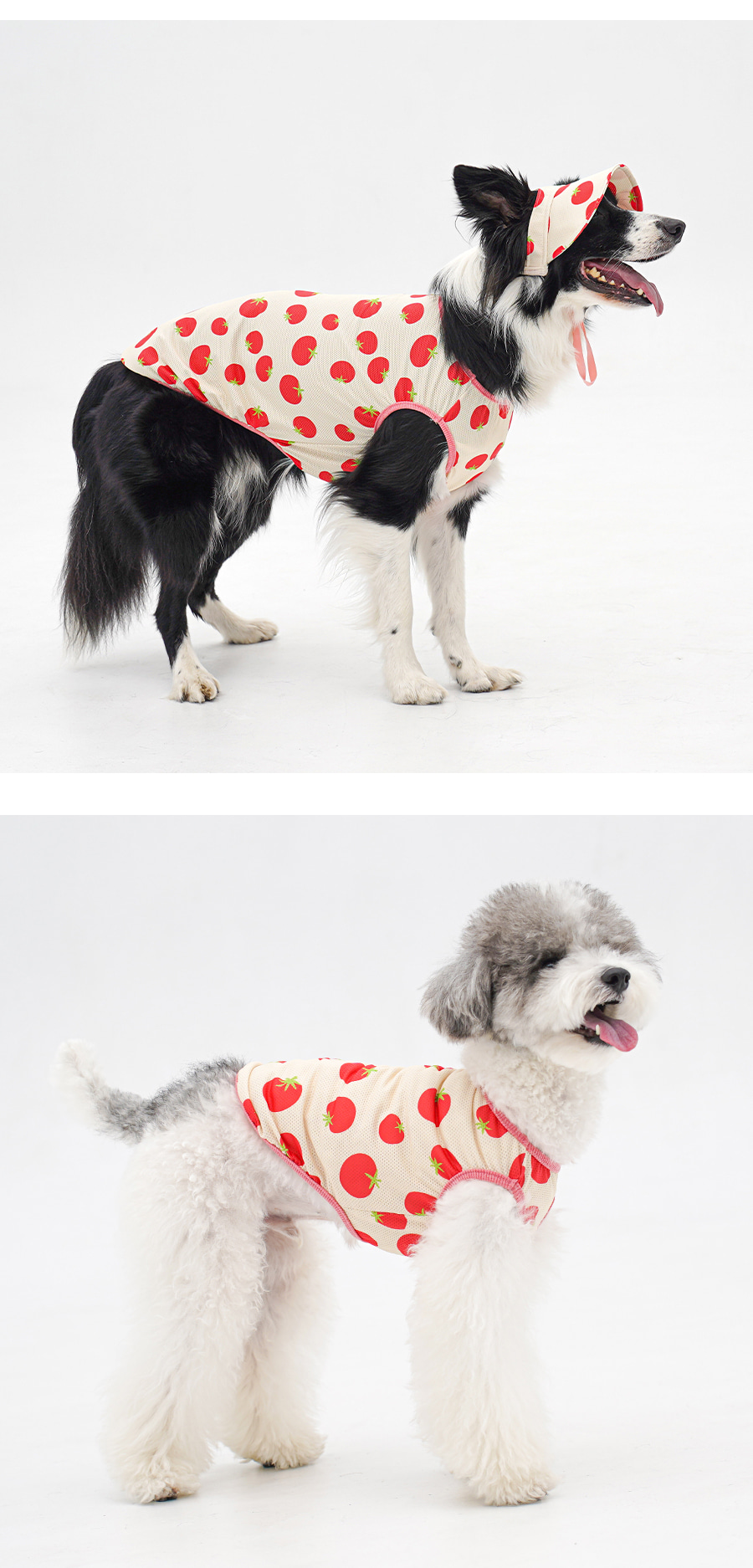 copy-1775088412-1-EBAFBCEC868CEBA7A4EC8381EC84B81_3_03