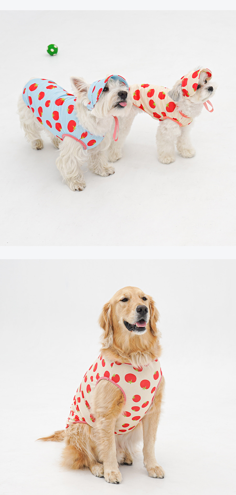 copy-1775088412-1-EBAFBCEC868CEBA7A4EC8381EC84B81_1_02