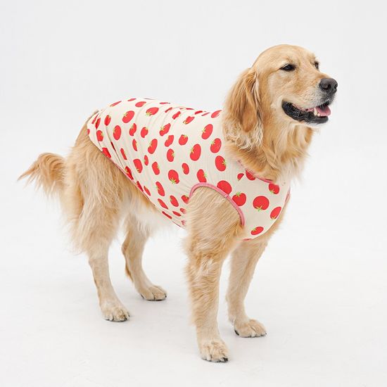  | 貝狗商行｜韓國寵物選品