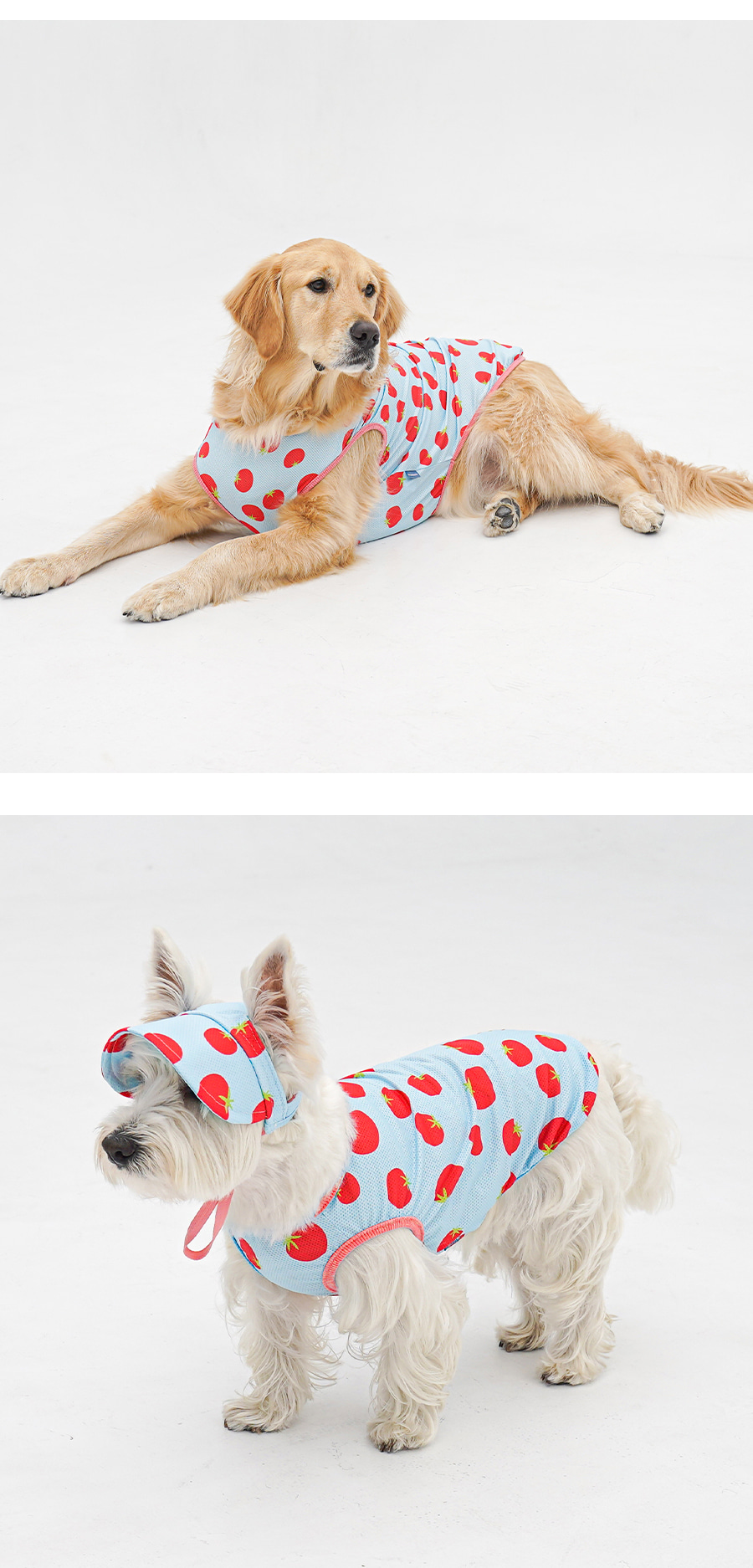 1-EBAFBCEC868CEBA7A4EC8381EC84B81_3_03