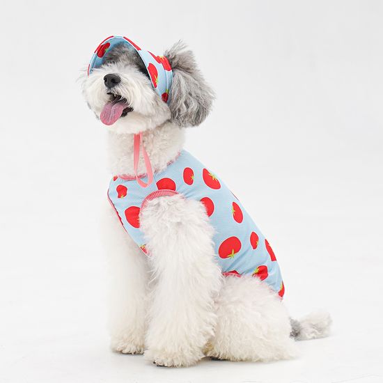  | 貝狗商行｜韓國寵物選品