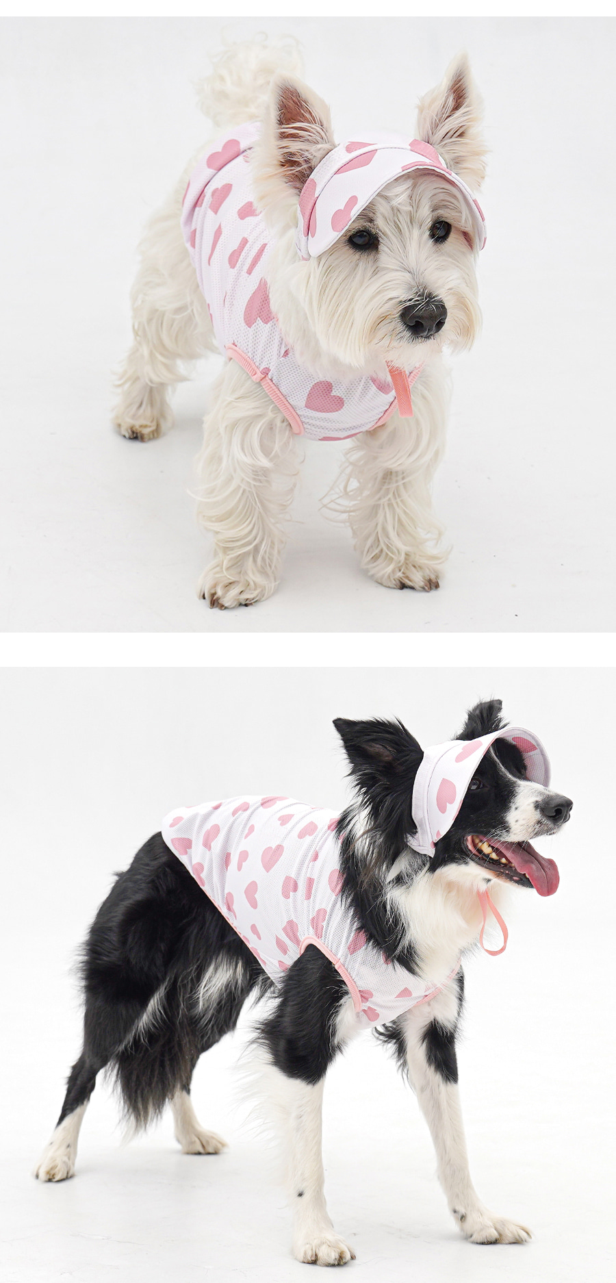 copy-1774874118-1-EBAFBCEC868CEBA7A4EC8381EC84B81_3_03