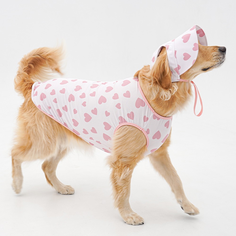 imgi_67_dd654153e8436eea3fd163e2ace62528