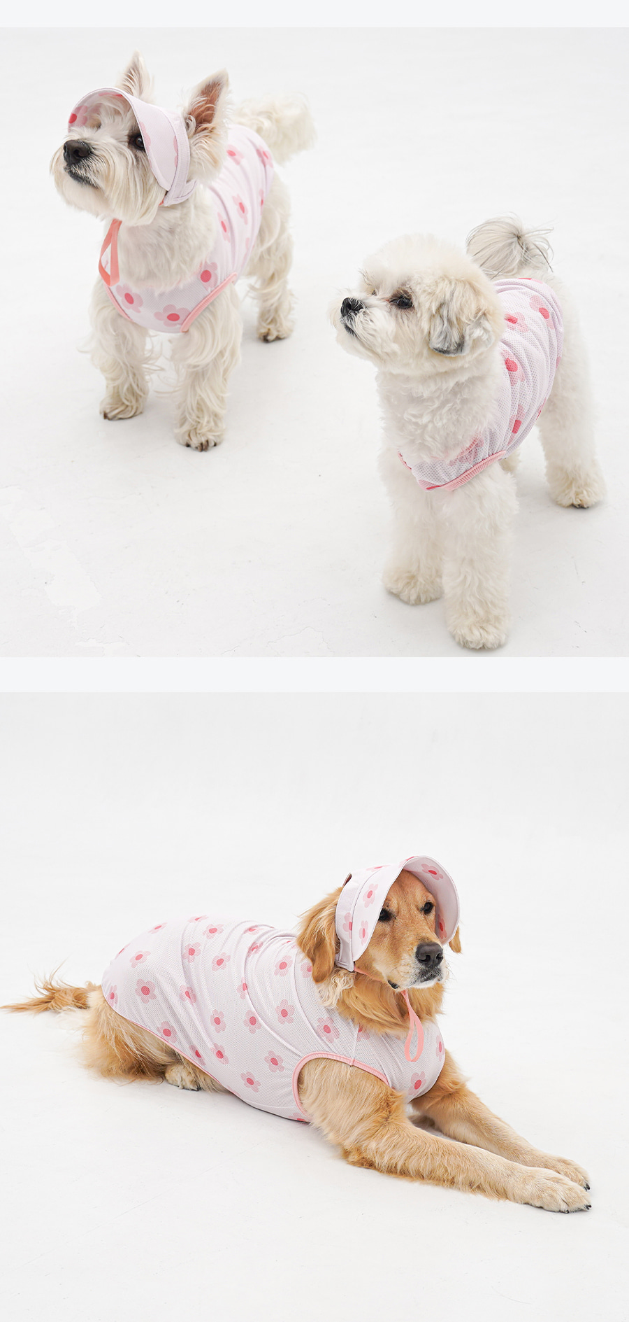 1-EBAFBCEC868CEBA7A4EC8381EC84B81_1_02 (1)