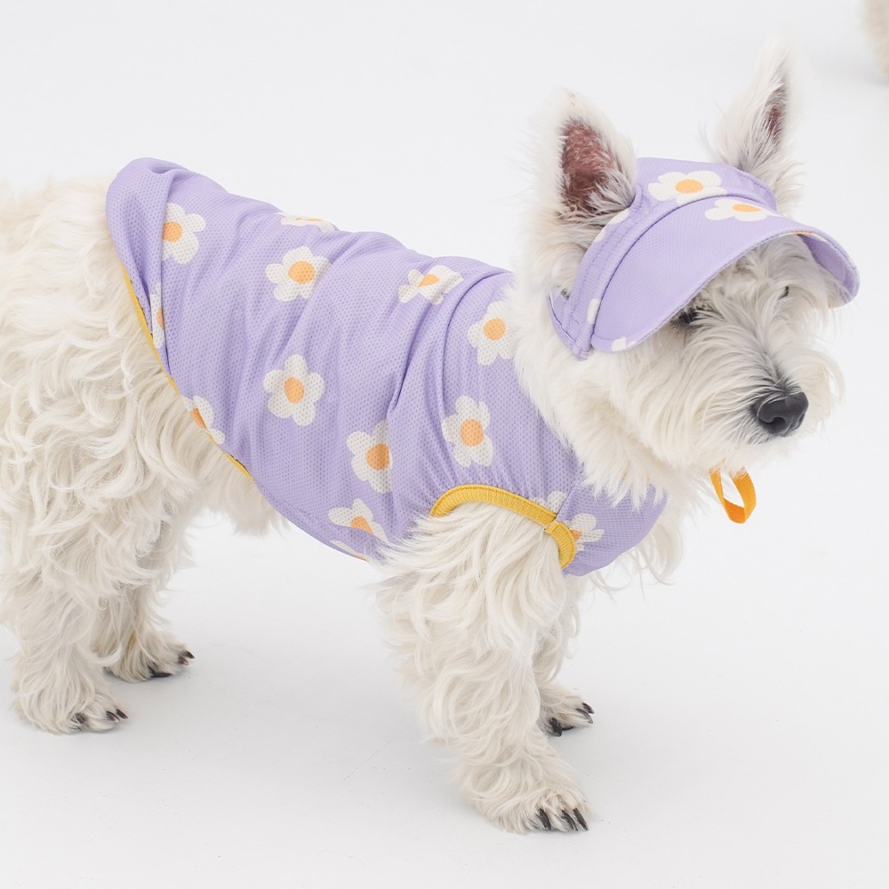 imgi_63_ea8b4290a193ae4700e6c8a07c82a992