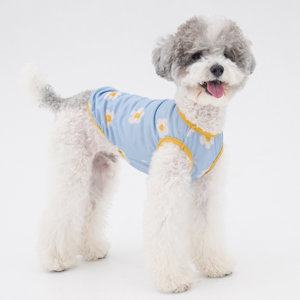 imgi_73_c8b5bf38979d80b80c6f21817eef3783