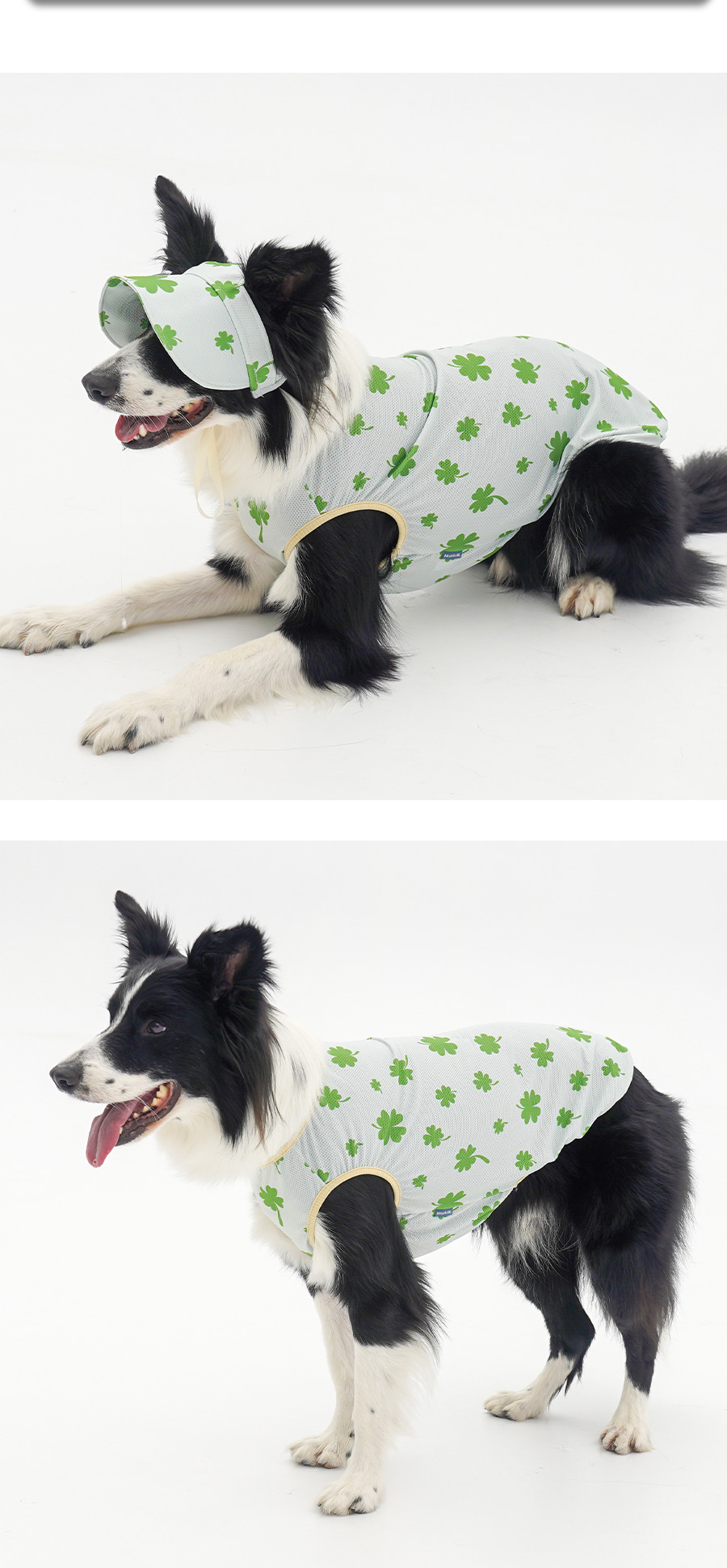 copy-1745229975-1-EBB098ED8C94EBAFBCEC868CEBA7A4EC8381EC84B81_3_02