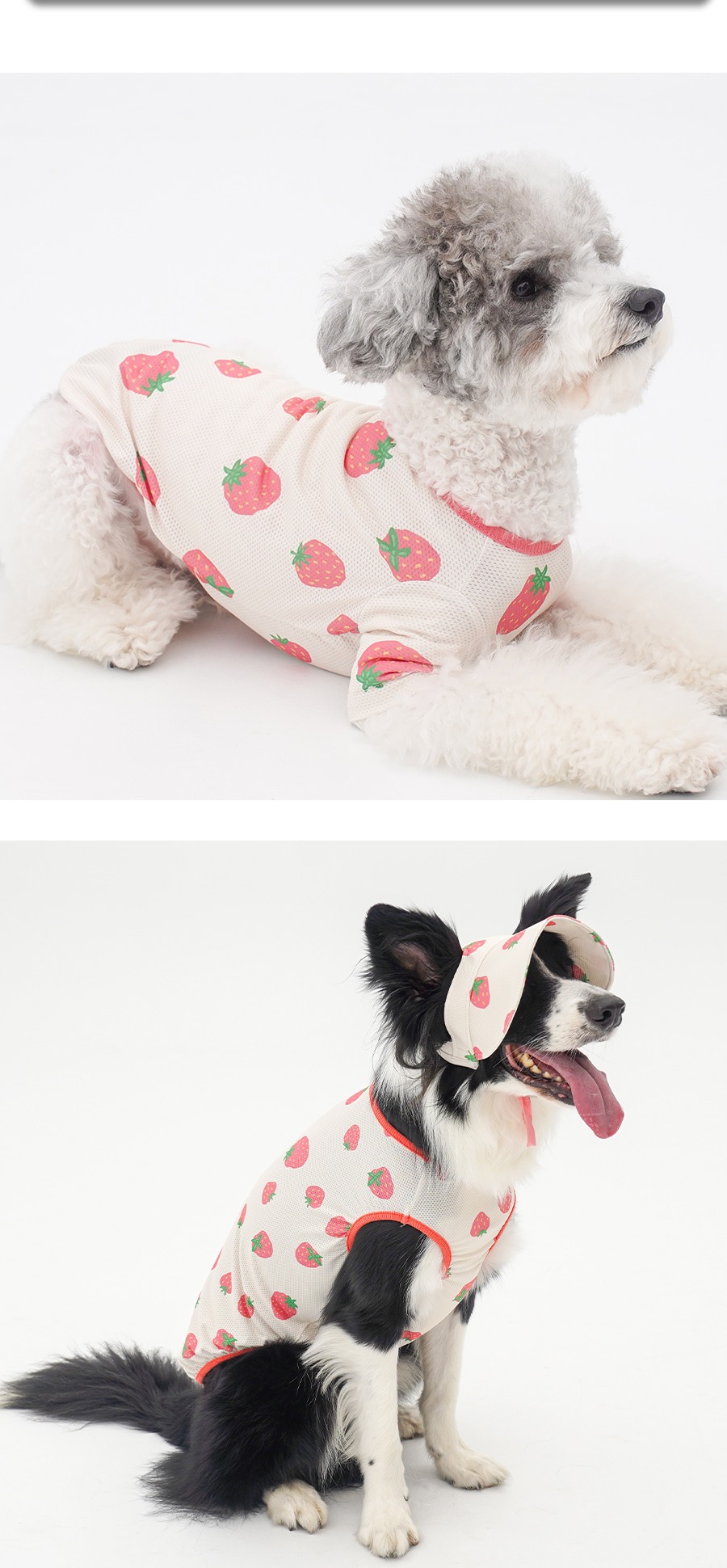 imgi_19_copy-1745229586-1-EBB098ED8C94EBAFBCEC868CEBA7A4EC8381EC84B81_3_02