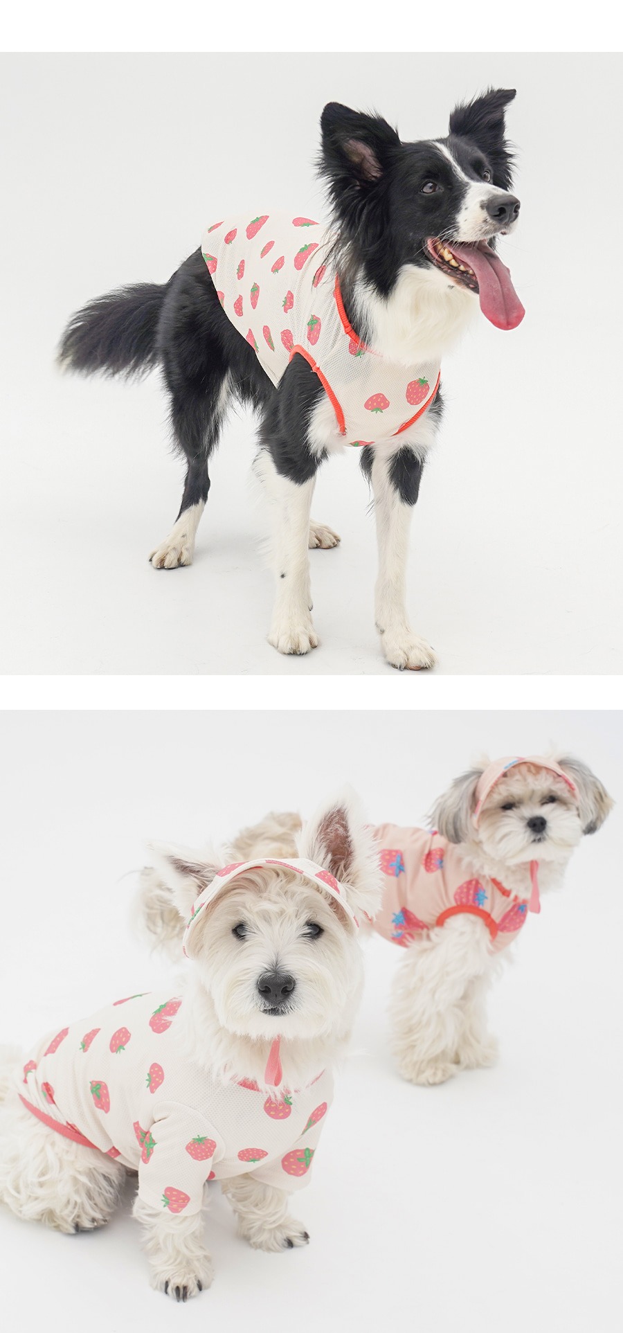 imgi_13_copy-1745229586-1-EBB098ED8C94EBAFBCEC868CEBA7A4EC8381EC84B81_1_02