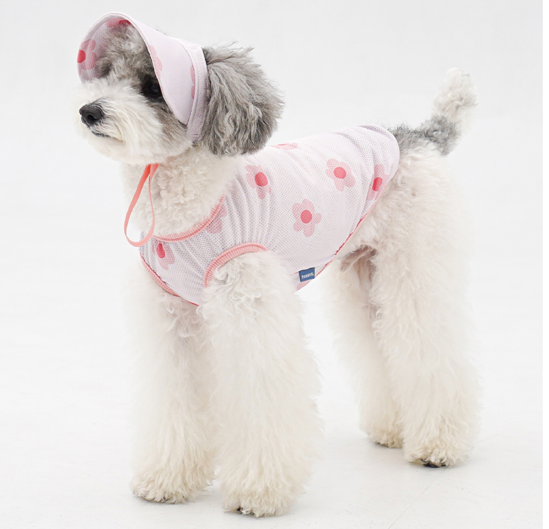 imgi_3_copy-17750886798ACEC9DB8EC9B90EC8381EC84B81_1_01-01