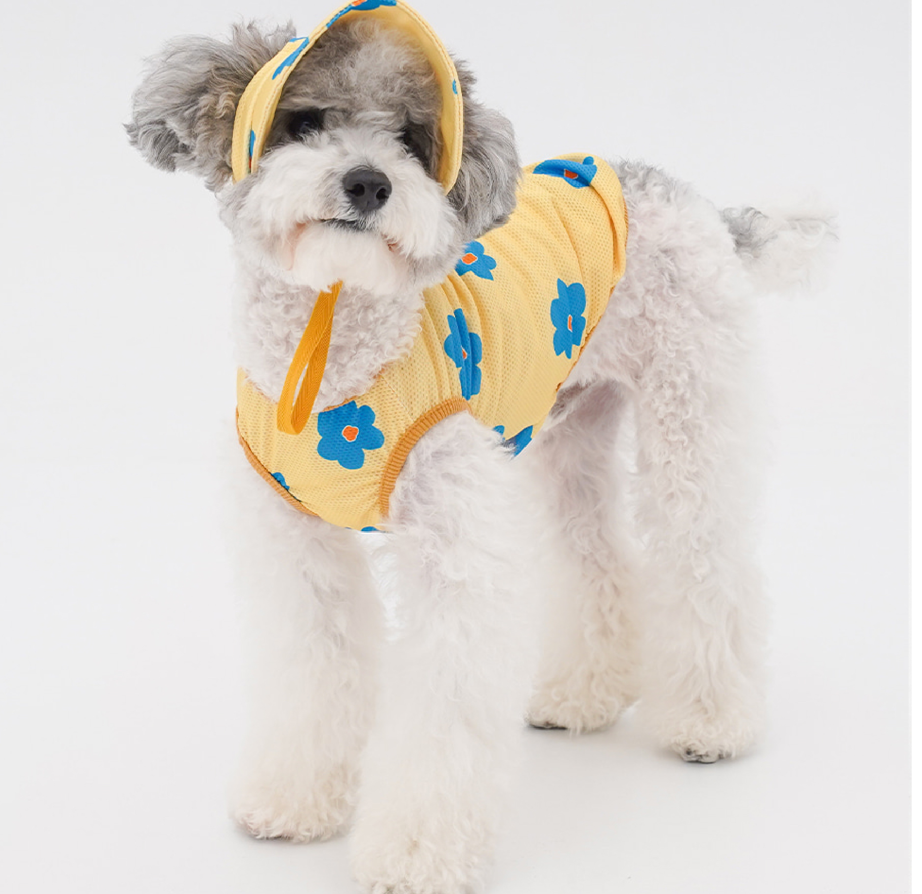 imgi_3_cop3-1-EC98ACEC9DB8EC9B90EC8381EC84B81_1_01-01