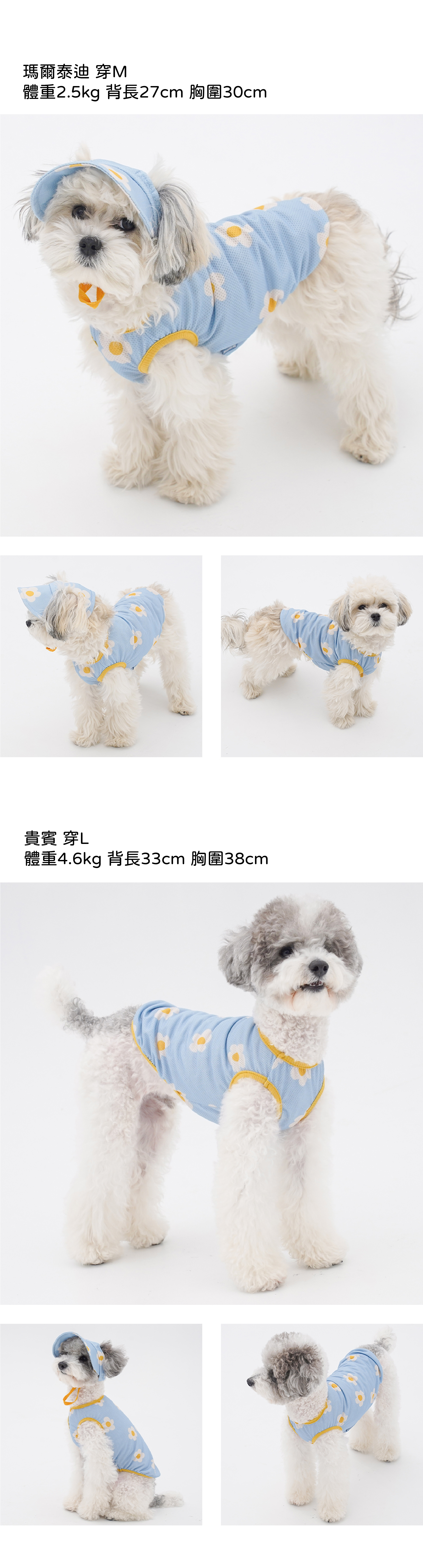 背心尺寸1-12ACEC9DB4ECA688ECB694ECB29C-02