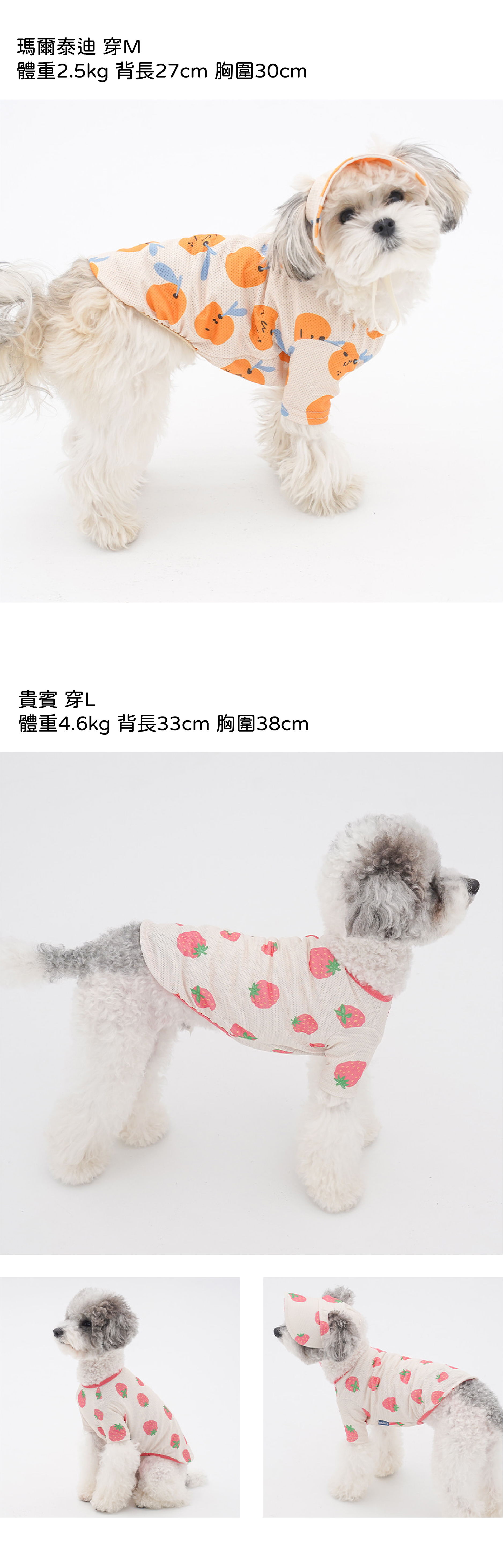 水果模特2ACEC9DB4ECA688ECB694ECB29C-06