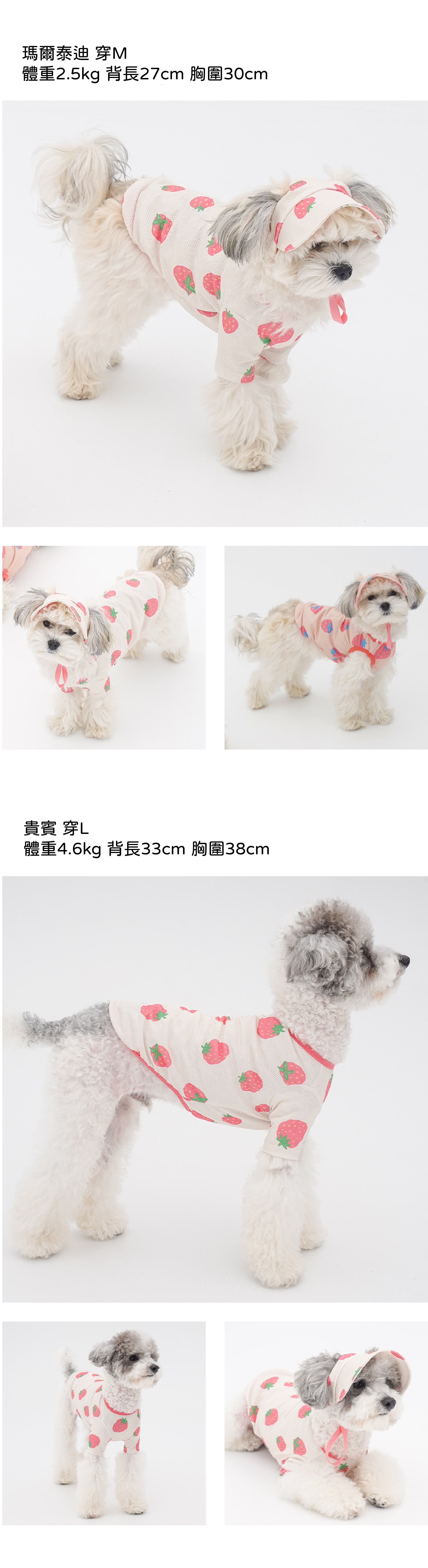 草莓模特EC82ACEC9DB4ECA688ECB694ECB29C-07