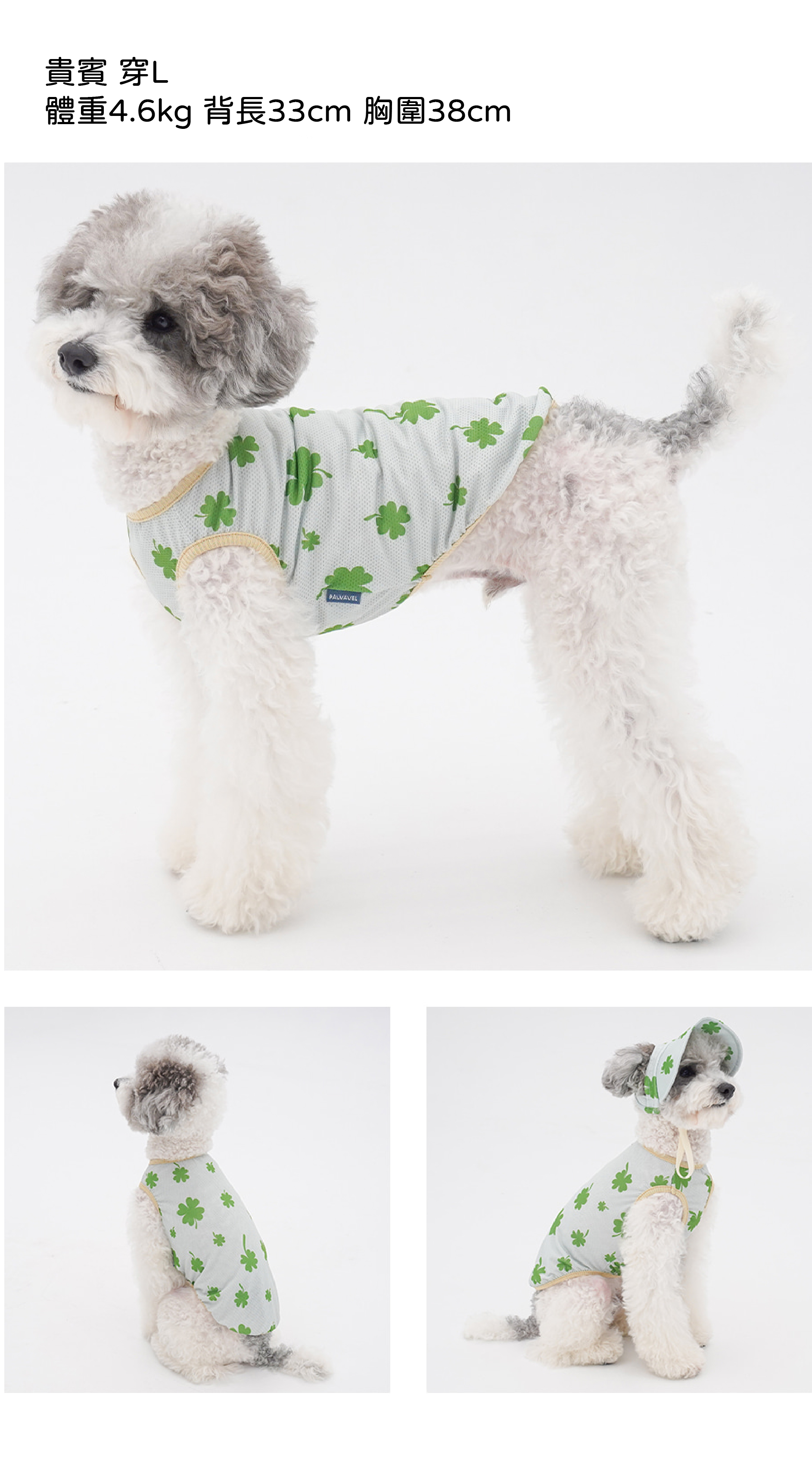 幸運草模特表82ACEC9DB4ECA688ECB694ECB29C-07