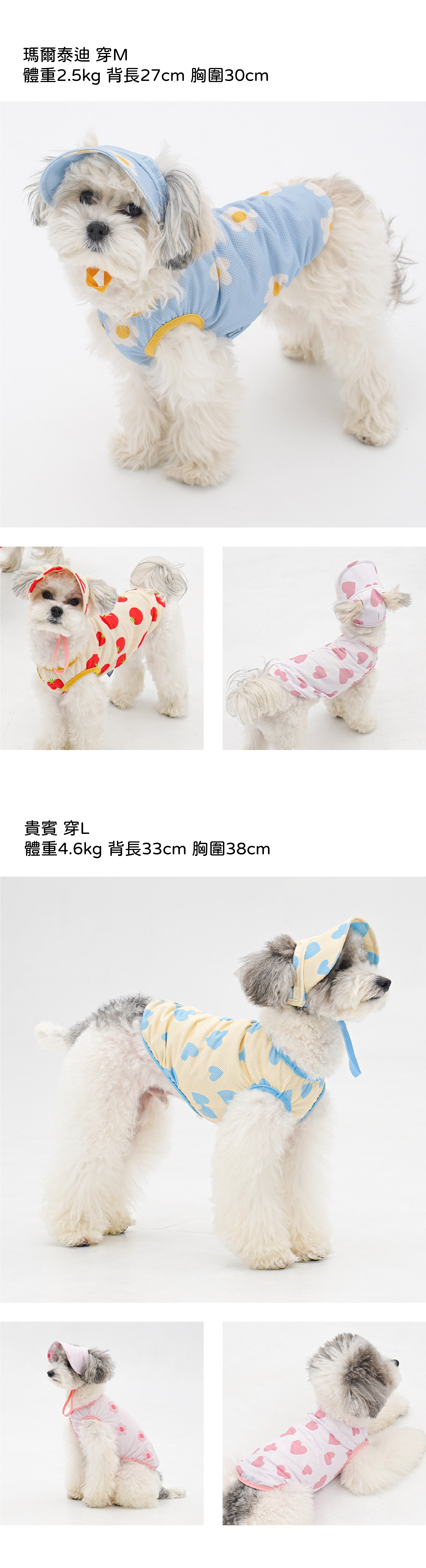 新背心模特82ACEC9DB4ECA688ECB694ECB29C-03