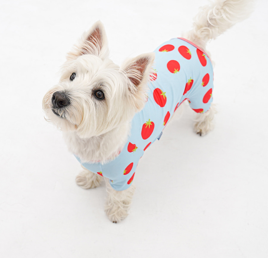 1-EC98ACEC9DB8EC9B90EC8381EC84B81_2_03