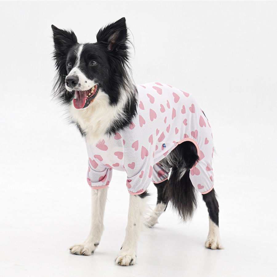 copy-1774876141-1-EC98ACEC9DB8EC9B90EC8381EC84B81_2_03